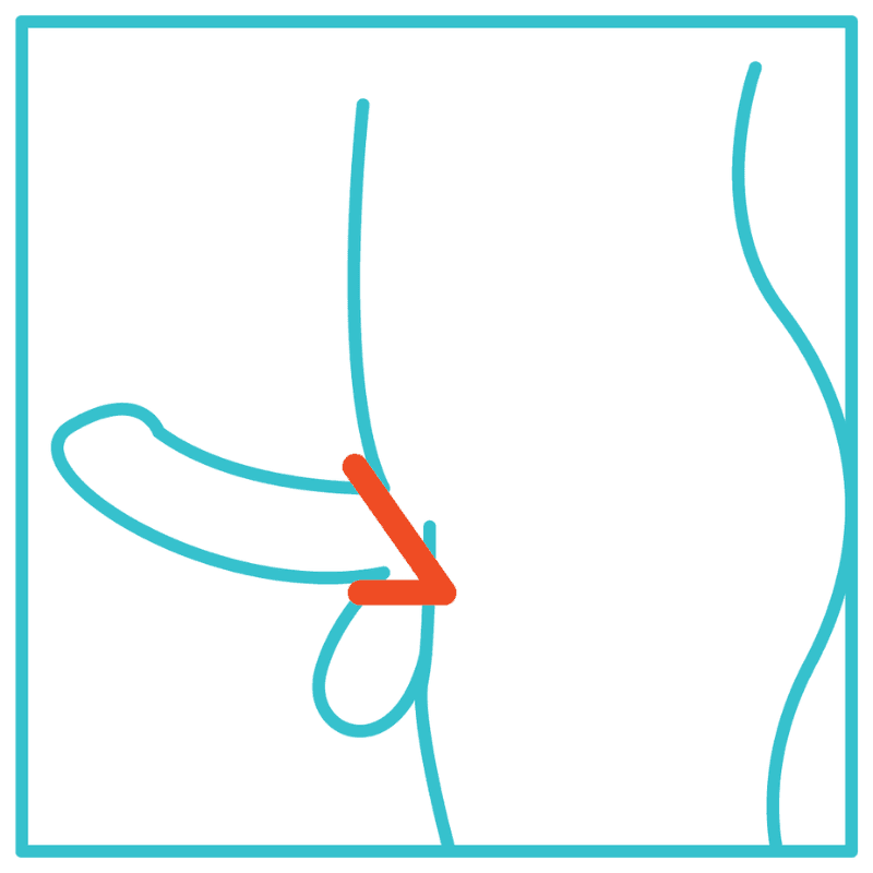 double loop cock ring.png